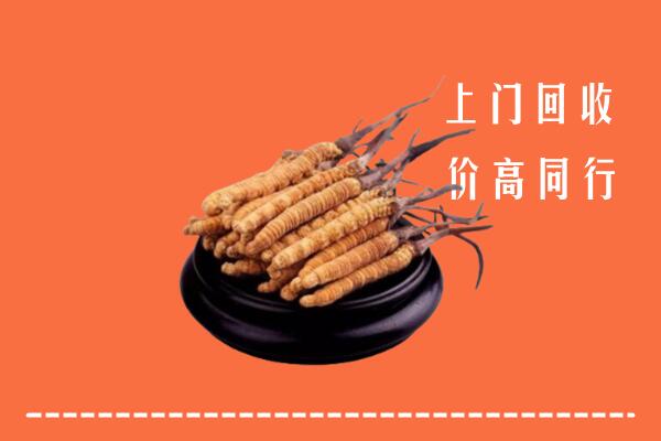 高价求购：西宁回收散虫草