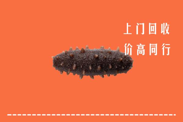 高价求购：西宁回收海参