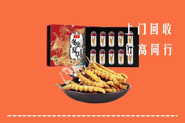 西宁回收虫草